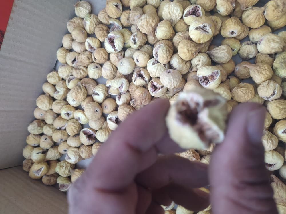 قیمت انجیر مرغوب استهبان دو آ با بالاترین کیفیت